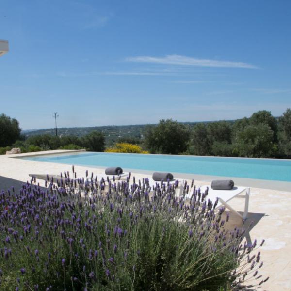 Pool Panorama